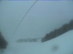 Archiv Foto Webcam Menzenschwand: Bergstation Mösle 15:00