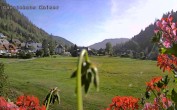 Archiv Foto Webcam Gästehaus Kaiser 10:00