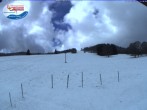 Archiv Foto Webcam Menzenschwand: Schwinbachskilift 11:00