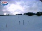 Archiv Foto Webcam Menzenschwand: Schwinbachskilift 03:00