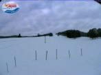Archiv Foto Webcam Menzenschwand: Schwinbachskilift 21:00