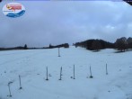 Archiv Foto Webcam Menzenschwand: Schwinbachskilift 06:00
