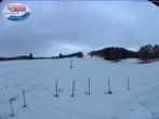 Archiv Foto Webcam Menzenschwand: Schwinbachskilift 07:00