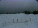 Archiv Foto Webcam Menzenschwand: Schwinbachskilift 01:00