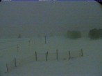 Archiv Foto Webcam Menzenschwand: Schwinbachskilift 17:00