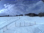 Archiv Foto Webcam Menzenschwand: Schwinbachskilift 11:00