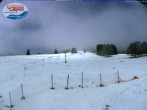 Archiv Foto Webcam Menzenschwand: Schwinbachskilift 01:00