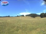 Archiv Foto Webcam Menzenschwand: Schwinbachskilift 09:00