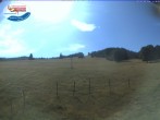 Archiv Foto Webcam Menzenschwand: Schwinbachskilift 15:00