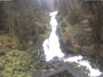 Archiv Foto Webcam Triberg Wasserfall 11:00