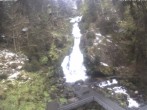 Archived image Webcam Waterfall in Triberg 09:00