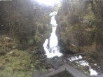Archived image Webcam Waterfall in Triberg 15:00