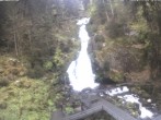 Archived image Webcam Waterfall in Triberg 17:00