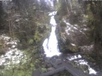 Archived image Webcam Waterfall in Triberg 07:00