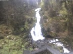 Archived image Webcam Waterfall in Triberg 11:00