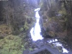 Archived image Webcam Waterfall in Triberg 06:00