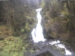 Archived image Webcam Waterfall in Triberg 11:00