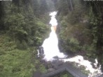 Archived image Webcam Waterfall in Triberg 13:00