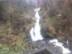 Archiv Foto Webcam Triberg Wasserfall 11:00