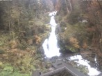 Archiv Foto Webcam Triberg Wasserfall 13:00