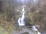 Archived image Webcam Waterfall in Triberg 07:00