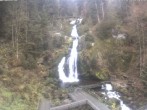 Archived image Webcam Waterfall in Triberg 09:00