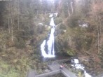 Archived image Webcam Waterfall in Triberg 11:00