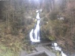 Archived image Webcam Waterfall in Triberg 13:00