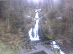 Archived image Webcam Waterfall in Triberg 15:00