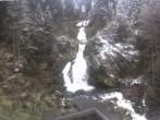 Archived image Webcam Waterfall in Triberg 13:00