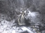 Archiv Foto Webcam Triberg Wasserfall 15:00