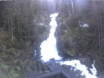 Archiv Foto Webcam Triberg Wasserfall 07:00