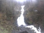 Archiv Foto Webcam Triberg Wasserfall 13:00