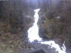 Archiv Foto Webcam Triberg Wasserfall 15:00