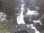 Archived image Webcam Waterfall in Triberg 11:00