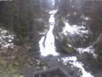 Archived image Webcam Waterfall in Triberg 13:00