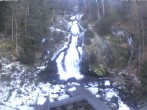 Archived image Webcam Waterfall in Triberg 09:00