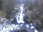 Archived image Webcam Waterfall in Triberg 11:00