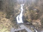 Archived image Webcam Waterfall in Triberg 07:00