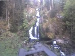 Archived image Webcam Waterfall in Triberg 05:00