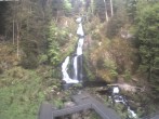 Archiv Foto Webcam Triberg Wasserfall 05:00