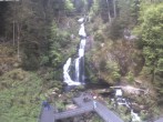 Archiv Foto Webcam Triberg Wasserfall 09:00