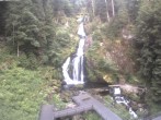 Archiv Foto Webcam Triberg Wasserfall 05:00
