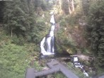 Archiv Foto Webcam Triberg Wasserfall 06:00