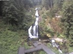 Archiv Foto Webcam Triberg Wasserfall 09:00