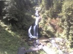 Archiv Foto Webcam Triberg Wasserfall 11:00