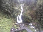 Archived image Webcam Waterfall in Triberg 09:00