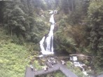 Archived image Webcam Waterfall in Triberg 13:00