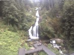 Archived image Webcam Waterfall in Triberg 17:00