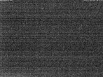 Archiv Foto Webcam Triberg Wasserfall 23:00